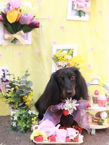 20230330小太郎くん